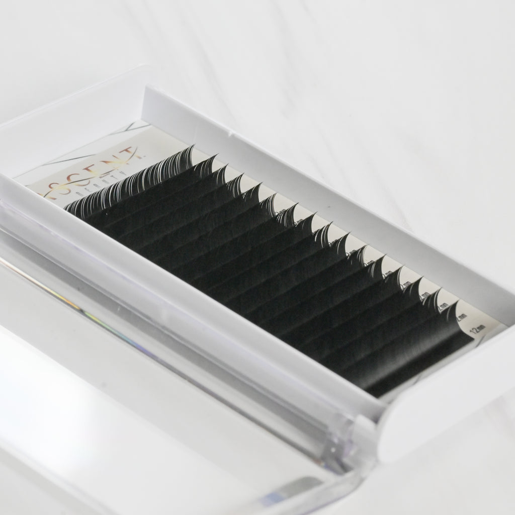 40% OFF! Volume Lashes .03mm Single length trays